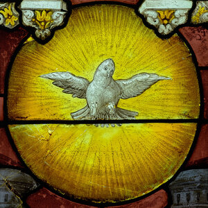 Polychromes Glasfenster mit weißer Taube im gelben Strahlenkranz