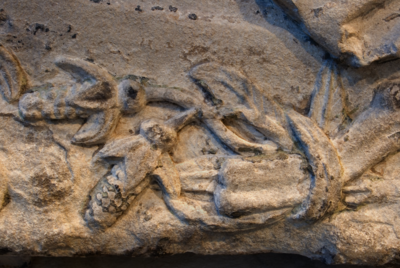 Pflanzen auf einem Ausschnitt eines weißen Steinreliefs.