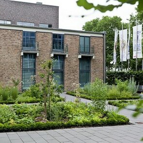 Farbfotografie eines kleinen Gartens mit einem niedrigen rechteckigen Bau im Hintergrund.