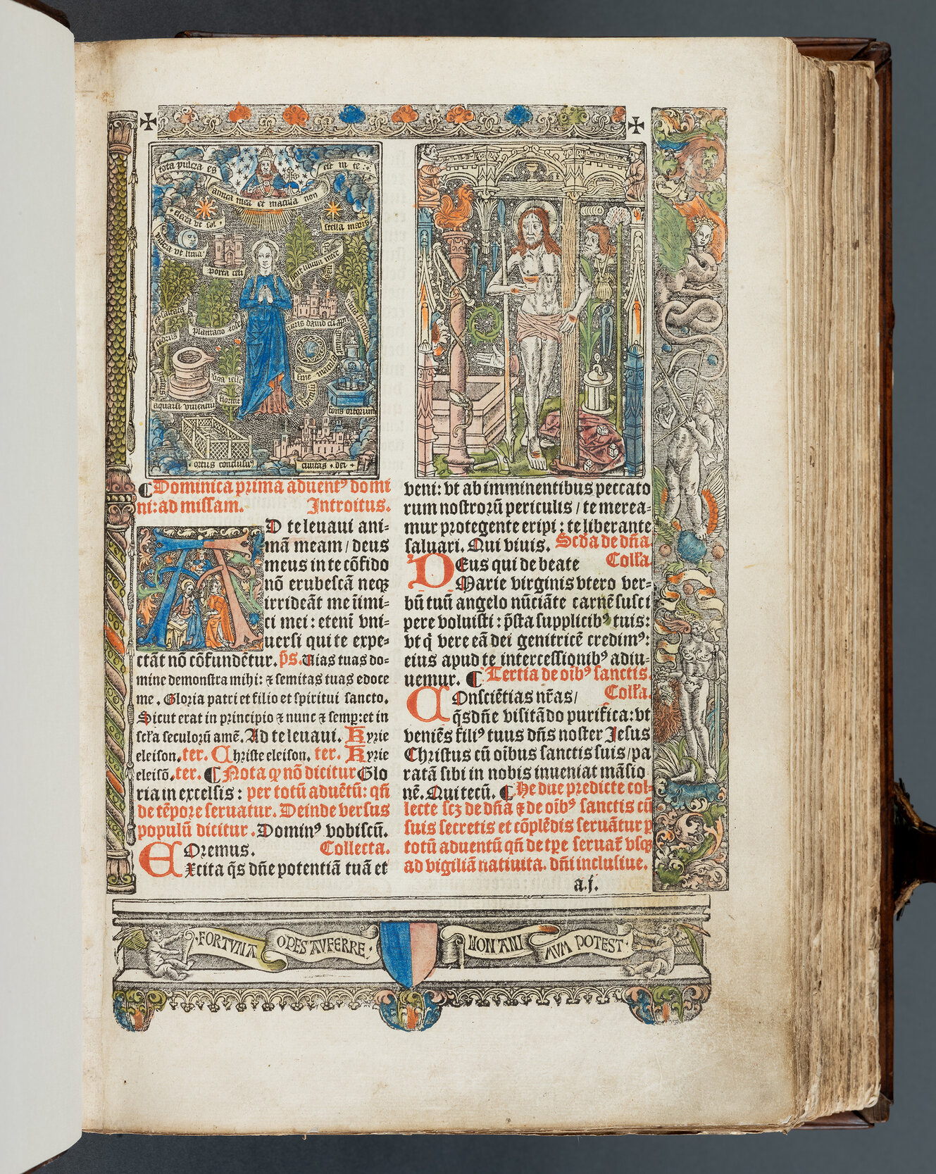 Farbig mit Bildern und Text bedruckte rechte Seite eines Buches