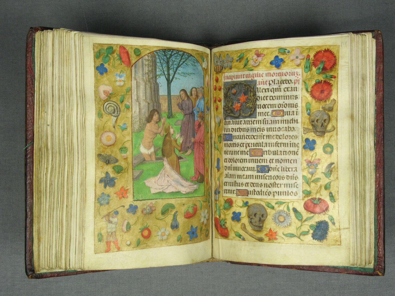 Farbig mit Bild und Text bemalte Doppelseite einer Handschrift (Buch)