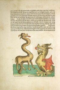 [Translate to English:] Ein giraffenartiges Tier mit gewelltem Hals und ein grüner Drache mit roten Flügeln stehen sich gegenüber. Der Drache hat ein Menschenwesen im Maul.